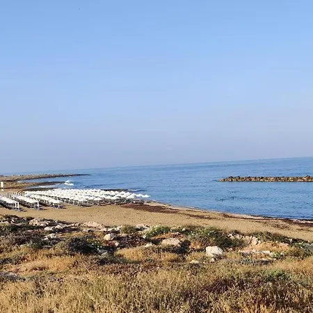 Urban Oasis Next To The Holiday home Paphos