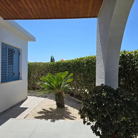 Urban Oasis Next To The Paphos