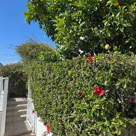 Urban Oasis Next To The בית נופש